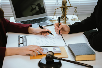 government loan guarantees