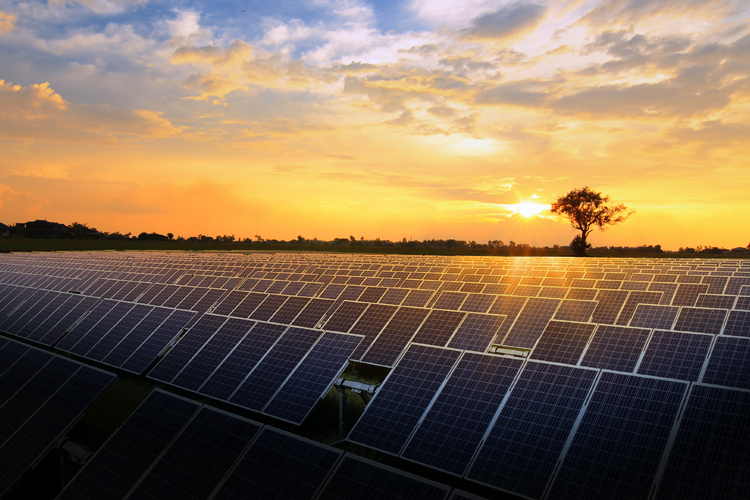 solar panels