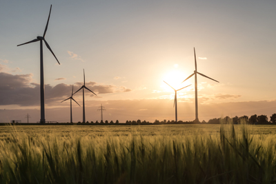 wind farm sunset